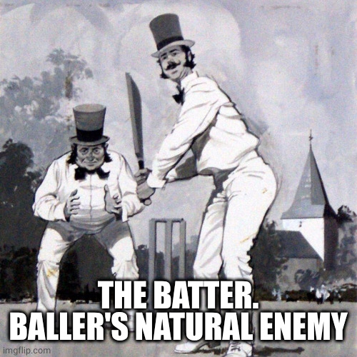 Cricket | THE BATTER.
BALLER'S NATURAL ENEMY | image tagged in cricket | made w/ Imgflip meme maker