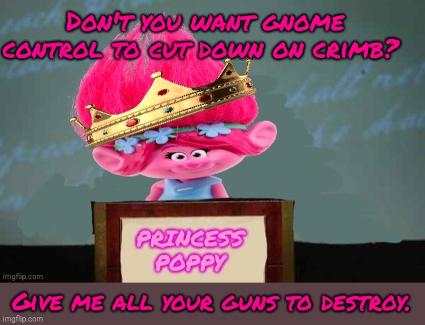 Princess Poppy | Don't you want gnome control to cut down on crimb? Give me all your guns to destroy. | image tagged in princess poppy | made w/ Imgflip meme maker