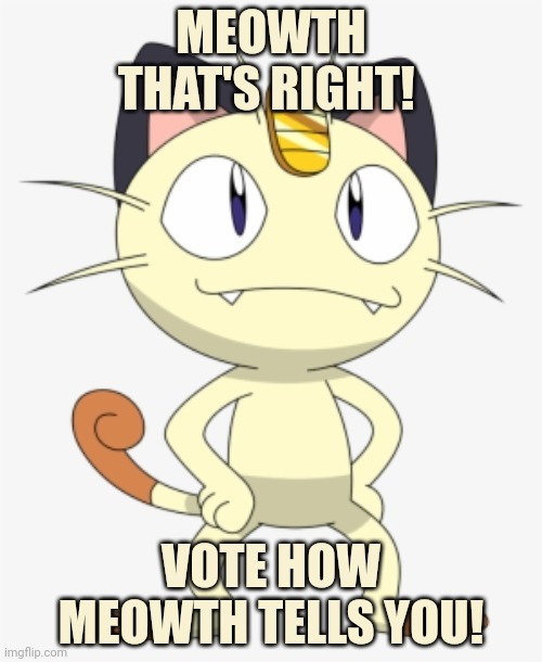 meowth3 | MEOWTH THAT'S RIGHT! VOTE HOW MEOWTH TELLS YOU! | image tagged in meowth3 | made w/ Imgflip meme maker