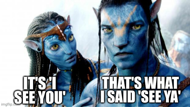 Language barrier | IT'S 'I SEE YOU'; THAT'S WHAT I SAID 'SEE YA' | image tagged in avatar azul o dorado,jake | made w/ Imgflip meme maker