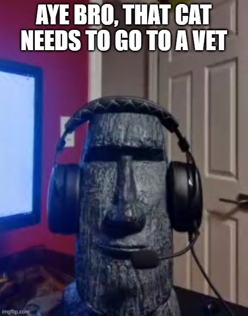 Moai gaming | AYE BRO, THAT CAT NEEDS TO GO TO A VET | image tagged in moai gaming | made w/ Imgflip meme maker