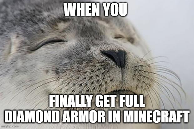 greatest feeling ever | WHEN YOU; FINALLY GET FULL DIAMOND ARMOR IN MINECRAFT | image tagged in memes,satisfied seal | made w/ Imgflip meme maker