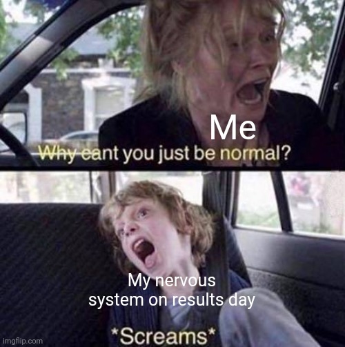 Idk | Me; My nervous system on results day | image tagged in why can't you just be normal,school,prison,exams,results | made w/ Imgflip meme maker