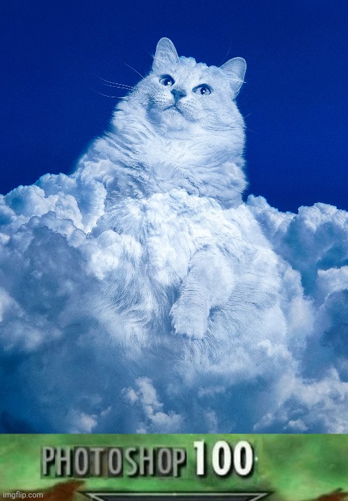 Cat cloud photoshop | image tagged in photoshop 100,cats,cat,photoshop,memes,cloud | made w/ Imgflip meme maker