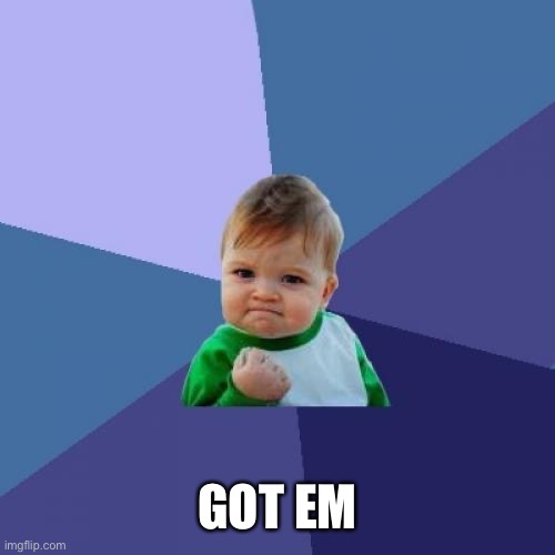 Success Kid Meme | GOT EM | image tagged in memes,success kid | made w/ Imgflip meme maker