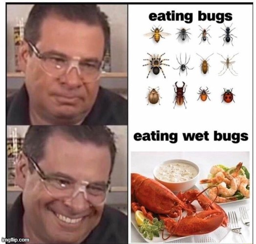 image tagged in memes | made w/ Imgflip meme maker