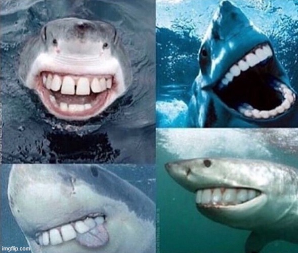 sharks with human teeth | image tagged in cursed image | made w/ Imgflip meme maker