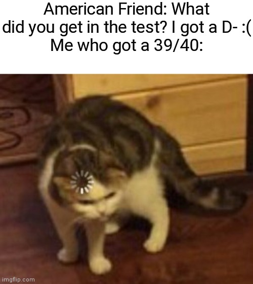 Probably an A+ lol | American Friend: What did you get in the test? I got a D- :(
Me who got a 39/40: | image tagged in loading cat,grades,school,america | made w/ Imgflip meme maker
