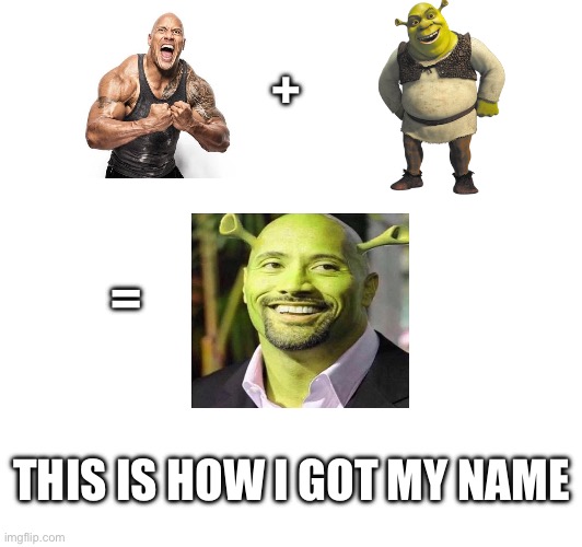 Shrock | +; =; THIS IS HOW I GOT MY NAME | image tagged in shrek,rock | made w/ Imgflip meme maker
