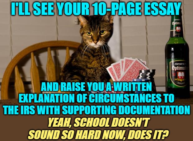 Poker Cat | I'LL SEE YOUR 10-PAGE ESSAY AND RAISE YOU A WRITTEN EXPLANATION OF CIRCUMSTANCES TO THE IRS WITH SUPPORTING DOCUMENTATION YEAH, SCHOOL DOESN | image tagged in poker cat | made w/ Imgflip meme maker