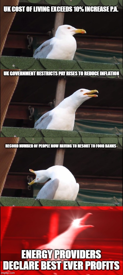 Inhaling Seagull Meme | UK COST OF LIVING EXCEEDS 10% INCREASE P.A. UK GOVERNMENT RESTRICTS PAY RISES TO REDUCE INFLATION; RECORD NUMBER OF PEOPLE NOW HAVING TO RESORT TO FOOD BANKS; ENERGY PROVIDERS DECLARE BEST EVER PROFITS | image tagged in memes,inhaling seagull | made w/ Imgflip meme maker