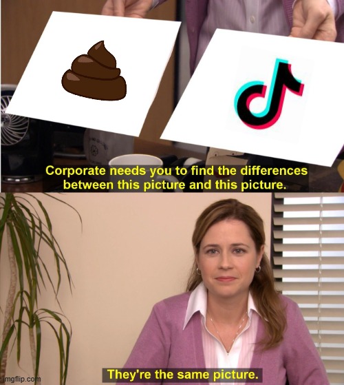 They're The Same Picture | image tagged in memes,they're the same picture | made w/ Imgflip meme maker