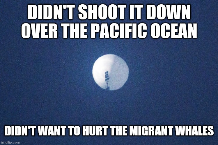 Your Government Knew This Balloon Was Heading To America | DIDN'T SHOOT IT DOWN OVER THE PACIFIC OCEAN; DIDN'T WANT TO HURT THE MIGRANT WHALES | image tagged in satellite,eye in the sky,what,testing,tested,now what | made w/ Imgflip meme maker