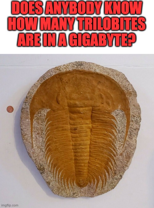 Very old dad joke | DOES ANYBODY KNOW HOW MANY TRILOBITES ARE IN A GIGABYTE? | image tagged in dad joke | made w/ Imgflip meme maker