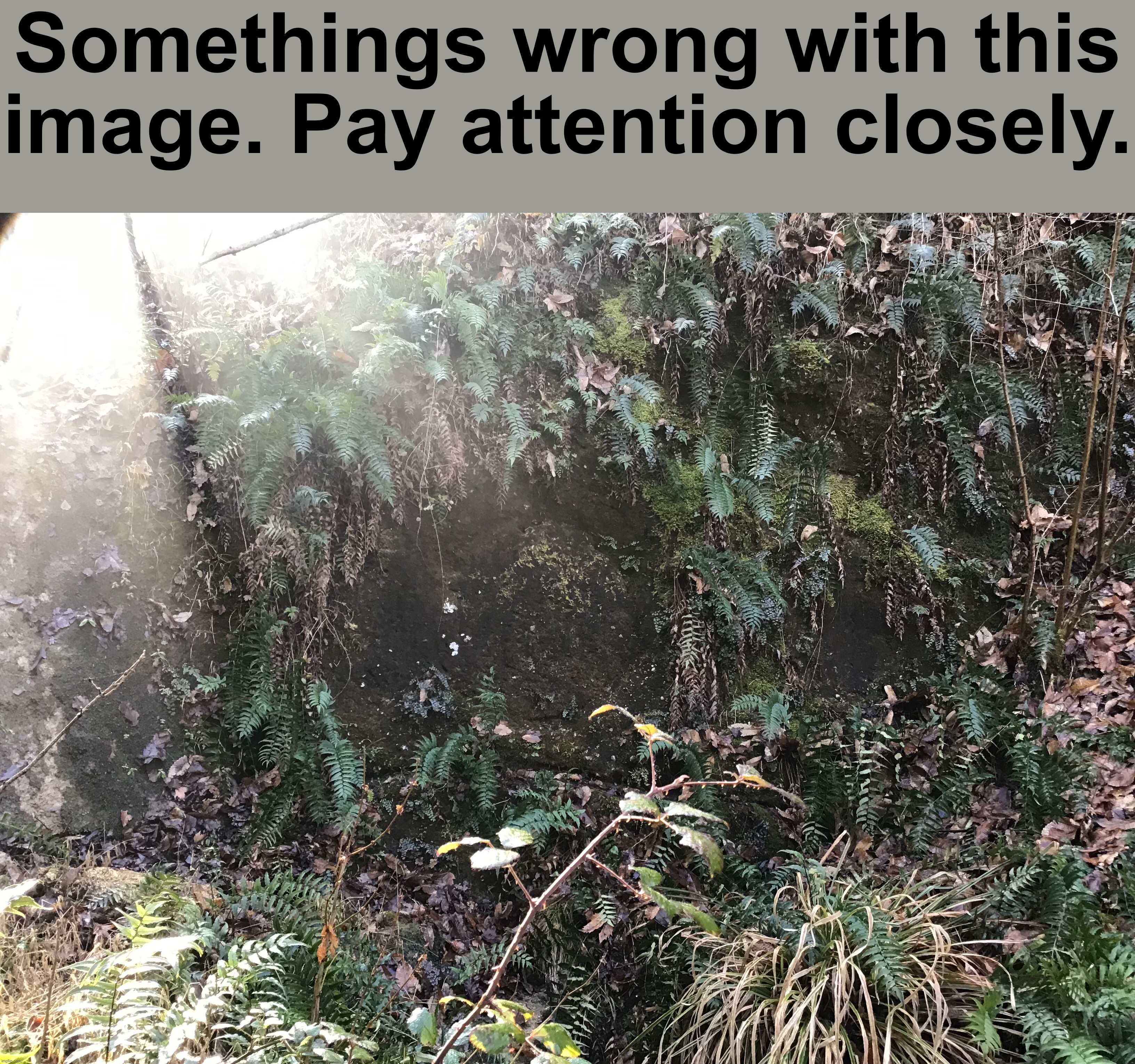 Guess | Somethings wrong with this image. Pay attention closely. | made w/ Imgflip meme maker