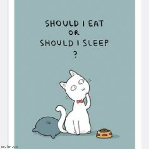A Cat's Way Of Thinking | image tagged in memes,comics,cats,eat,sleep,choices | made w/ Imgflip meme maker