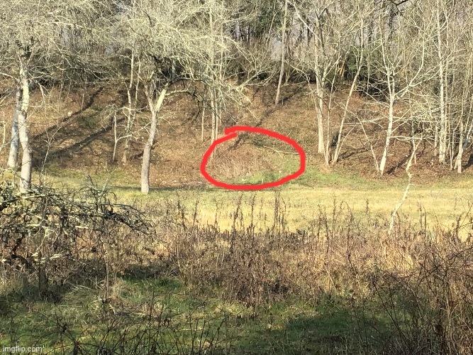 It doesnt look like much but somethings definitely man made about this spot | made w/ Imgflip meme maker