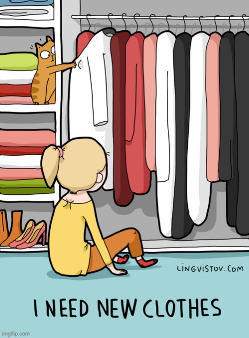 A Cat Lady's Way Of Thinking | image tagged in memes,comics,cat lady,cats,i need it,clothes | made w/ Imgflip meme maker