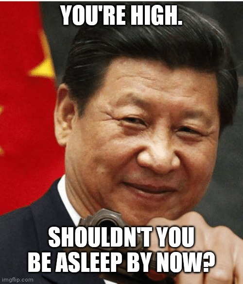 Xi Jinping | YOU'RE HIGH. SHOULDN'T YOU BE ASLEEP BY NOW? | image tagged in xi jinping | made w/ Imgflip meme maker
