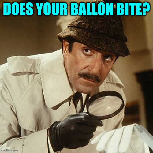 investigator | DOES YOUR BALLON BITE? | image tagged in investigator | made w/ Imgflip meme maker