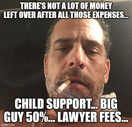 Hunter Biden | THERE'S NOT A LOT OF MONEY LEFT OVER AFTER ALL THOSE EXPENSES... CHILD SUPPORT... BIG GUY 50%... LAWYER FEES... | image tagged in hunter biden | made w/ Imgflip meme maker