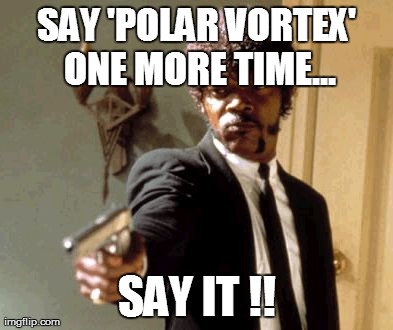 Say That Again I Dare You Meme | SAY 'POLAR VORTEX' ONE MORE TIME... SAY IT !! | image tagged in memes,say that again i dare you | made w/ Imgflip meme maker