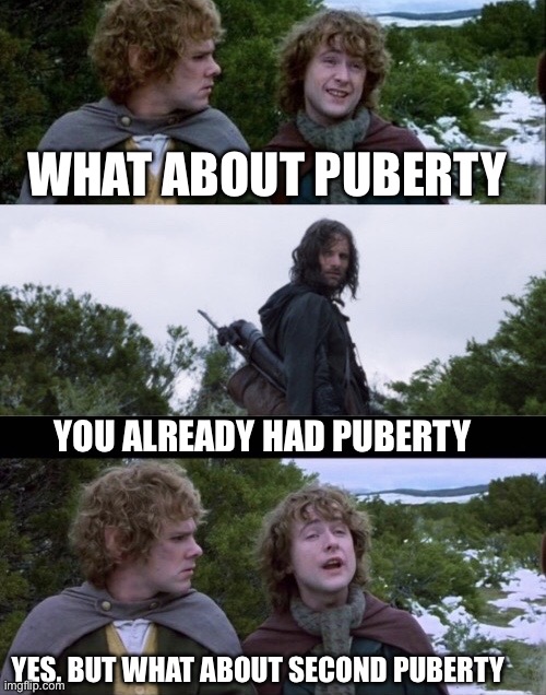 Second puberty | WHAT ABOUT PUBERTY; YOU ALREADY HAD PUBERTY; YES, BUT WHAT ABOUT SECOND PUBERTY | image tagged in pippin second breakfast | made w/ Imgflip meme maker