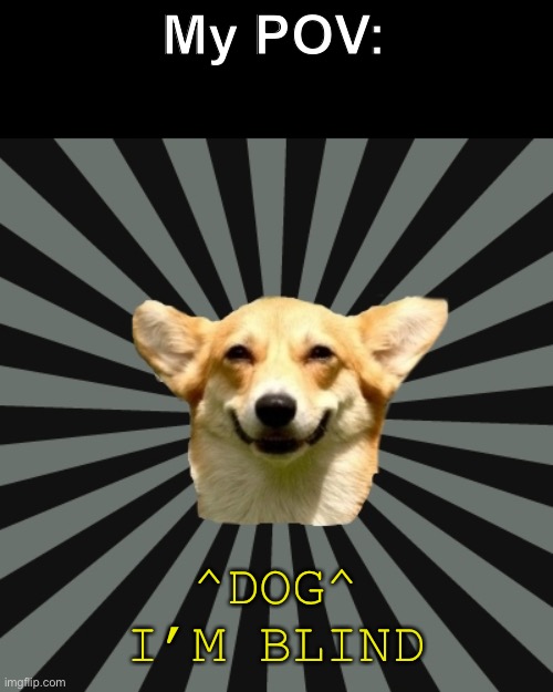 Blind dog meme | My POV: ^DOG^

I’M BLIND | image tagged in blind dog meme | made w/ Imgflip meme maker