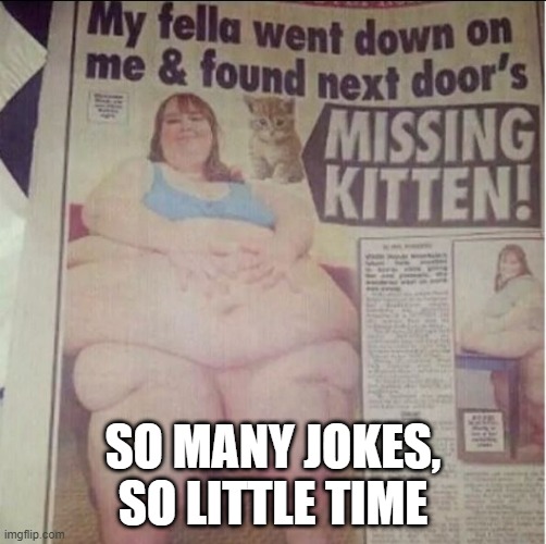 Kitty | SO MANY JOKES, SO LITTLE TIME | image tagged in headlines | made w/ Imgflip meme maker
