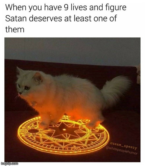 image tagged in cats,satan,god,jesus | made w/ Imgflip meme maker