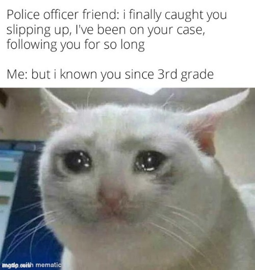 image tagged in crying cat,memes,repost,funny,school,relatable memes | made w/ Imgflip meme maker