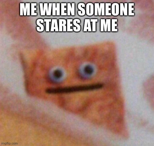 Don’t look at me like that | ME WHEN SOMEONE STARES AT ME | image tagged in cinnamon toast crunch | made w/ Imgflip meme maker