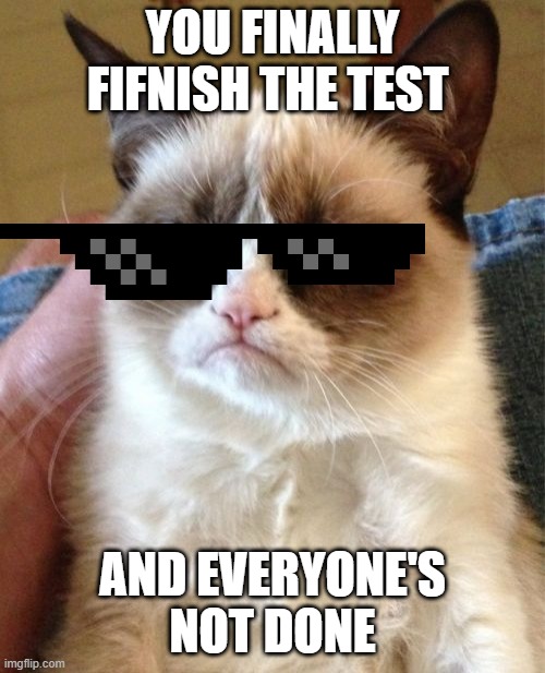 Grumpy Cat | YOU FINALLY FIFNISH THE TEST; AND EVERYONE'S NOT DONE | image tagged in memes,grumpy cat | made w/ Imgflip meme maker