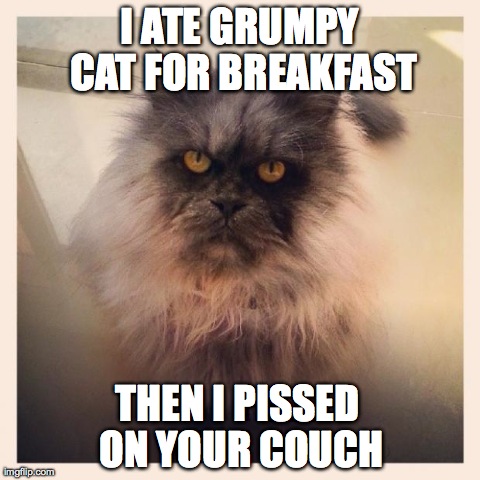 I ATE GRUMPY CAT FOR BREAKFAST THEN I PISSED ON YOUR COUCH | image tagged in spawn of satan,AdviceAnimals | made w/ Imgflip meme maker