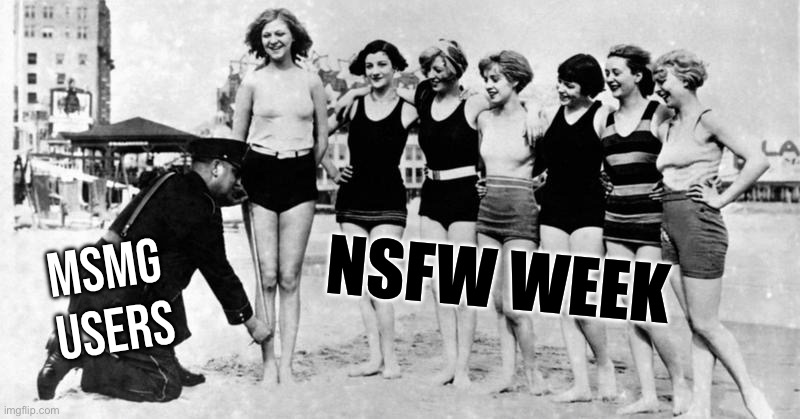 Bikini police | NSFW WEEK; MSMG USERS | image tagged in bikini police | made w/ Imgflip meme maker