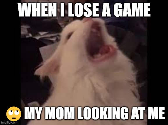 my ma hate me | WHEN I LOSE A GAME; 🙄MY MOM LOOKING AT ME | image tagged in screamin cat,scream | made w/ Imgflip meme maker