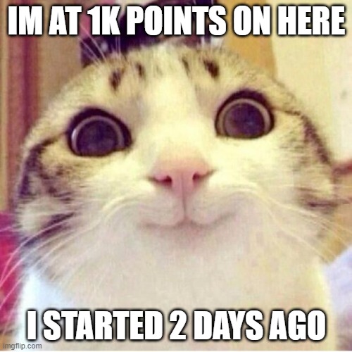 Happy cat | IM AT 1K POINTS ON HERE; I STARTED 2 DAYS AGO | image tagged in happy cat | made w/ Imgflip meme maker