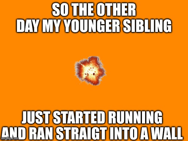 Running | SO THE OTHER DAY MY YOUNGER SIBLING; JUST STARTED RUNNING AND RAN STRAIGT INTO A WALL | image tagged in kids,weird,special kind of stupid,funny,memes,kids are stupid | made w/ Imgflip meme maker