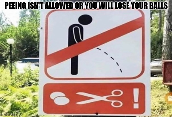 It could happen if you take a leak on a snake | PEEING ISN'T ALLOWED OR YOU WILL LOSE YOUR BALLS | image tagged in funny signs | made w/ Imgflip meme maker