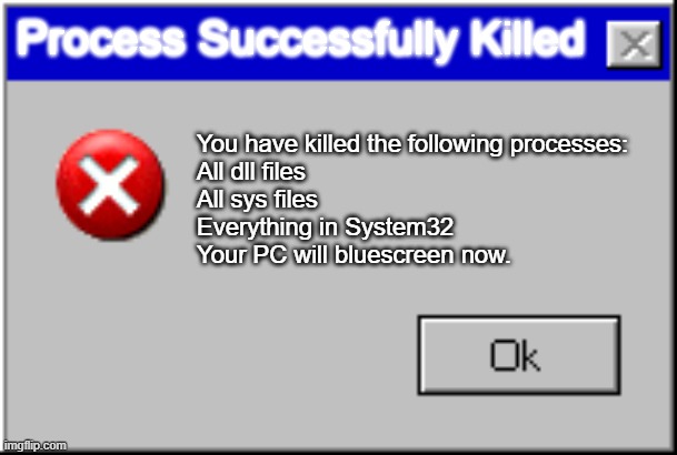 Windows Error Message | Process Successfully Killed; You have killed the following processes:
All dll files
All sys files
Everything in System32

Your PC will bluescreen now. | image tagged in windows error message | made w/ Imgflip meme maker