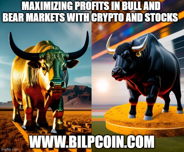 MAXIMIZING PROFITS IN BULL AND BEAR MARKETS WITH CRYPTO AND STOCKS; WWW.BILPCOIN.COM | made w/ Imgflip meme maker