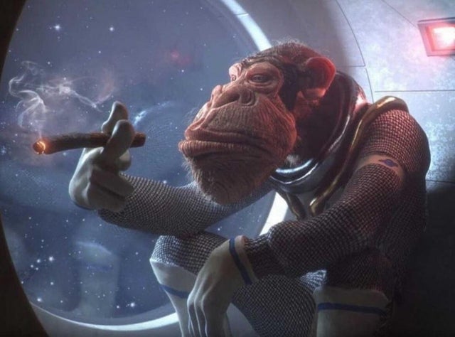 Space monkey smoking cigar Blank Meme Template