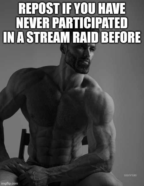 Giga Chad | REPOST IF YOU HAVE NEVER PARTICIPATED IN A STREAM RAID BEFORE | image tagged in giga chad | made w/ Imgflip meme maker
