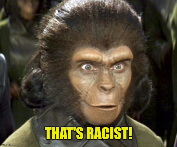 Planet of the Apes Zira | THAT'S RACIST! | image tagged in planet of the apes zira | made w/ Imgflip meme maker