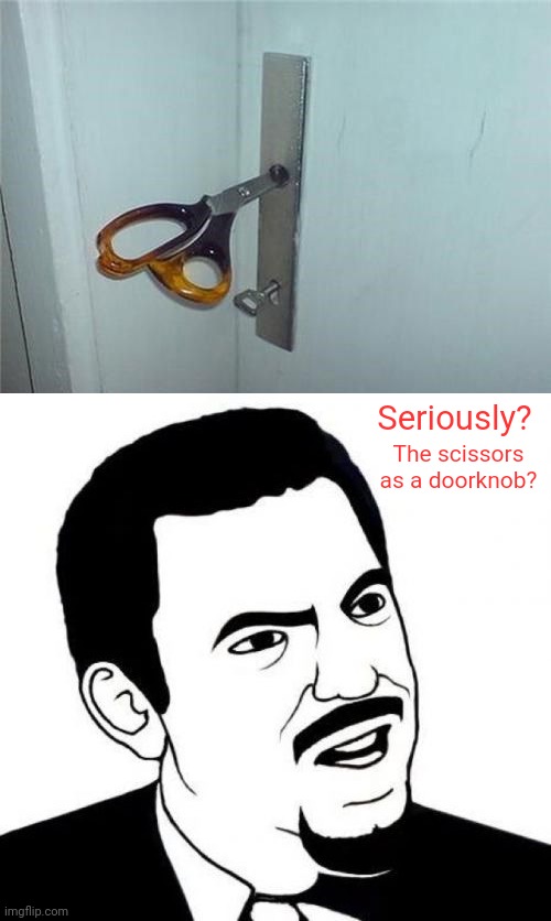 Scissors as a doorknob | Seriously? The scissors as a doorknob? | image tagged in memes,seriously face,you had one job,scissors,doorknob,door | made w/ Imgflip meme maker
