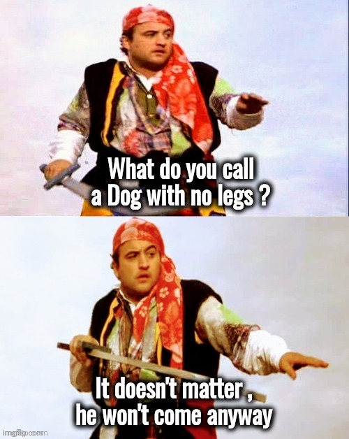 Pirate joke | What do you call a Dog with no legs ? It doesn't matter ,
 he won't come anyway | image tagged in pirate joke | made w/ Imgflip meme maker