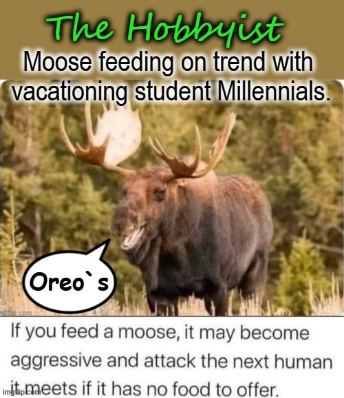 Neighbors Walking in the Woods ! | Oreo`s | image tagged in moose | made w/ Imgflip meme maker