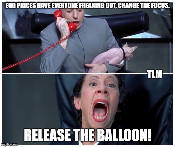 Release the balloon | EGG PRICES HAVE EVERYONE FREAKING OUT, CHANGE THE FOCUS. TLM; RELEASE THE BALLOON! | image tagged in current news | made w/ Imgflip meme maker