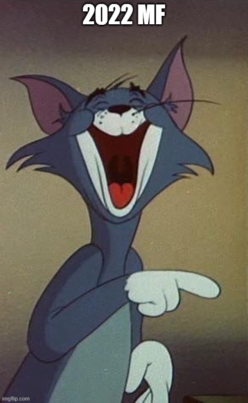 Tom the Cat (Tom and Jerry) Laughing and Pointing | 2022 MF | image tagged in tom the cat tom and jerry laughing and pointing | made w/ Imgflip meme maker