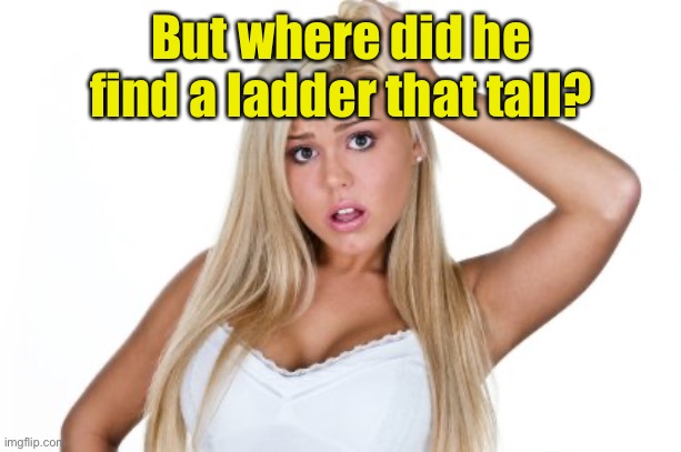 Dumb Blonde | But where did he find a ladder that tall? | image tagged in dumb blonde | made w/ Imgflip meme maker